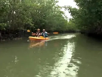 Kirra Lynne and Jt Jt get kinky with a rock hard-core pulverizing of their moist beavers
