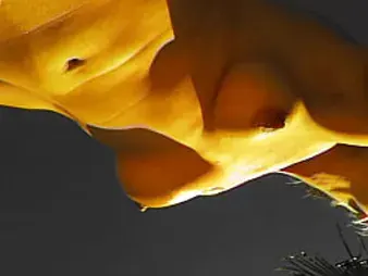 Observe Missy Jubilee get her youthful clean-shaved cunt smashed rock-hard outdoors